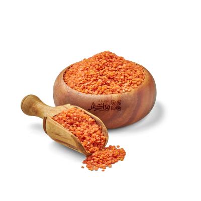 عدس أصفر تركي