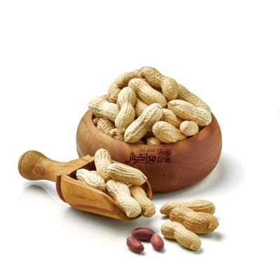 فول سوداني بقشرة