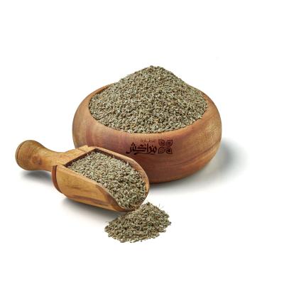 يانسون بلدي